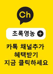 카톡채널추가