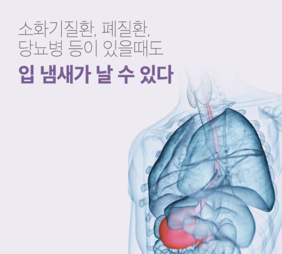 냄새의 원인