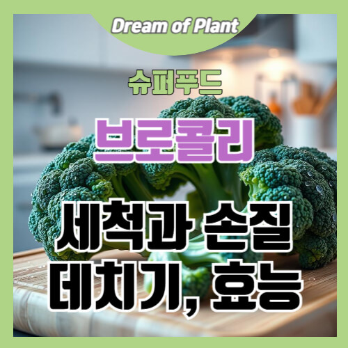 브로콜리 세척과 손질, 데치기와 효능 썸네일 이미지