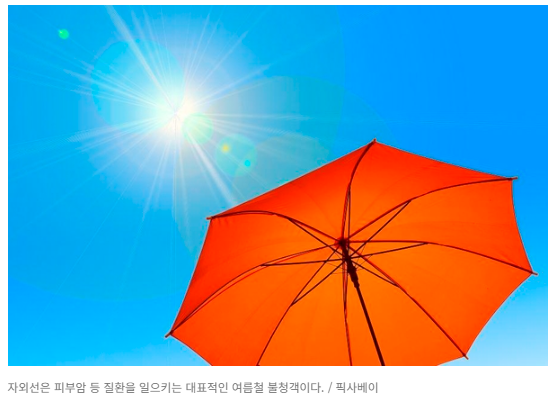 자외선 이미지