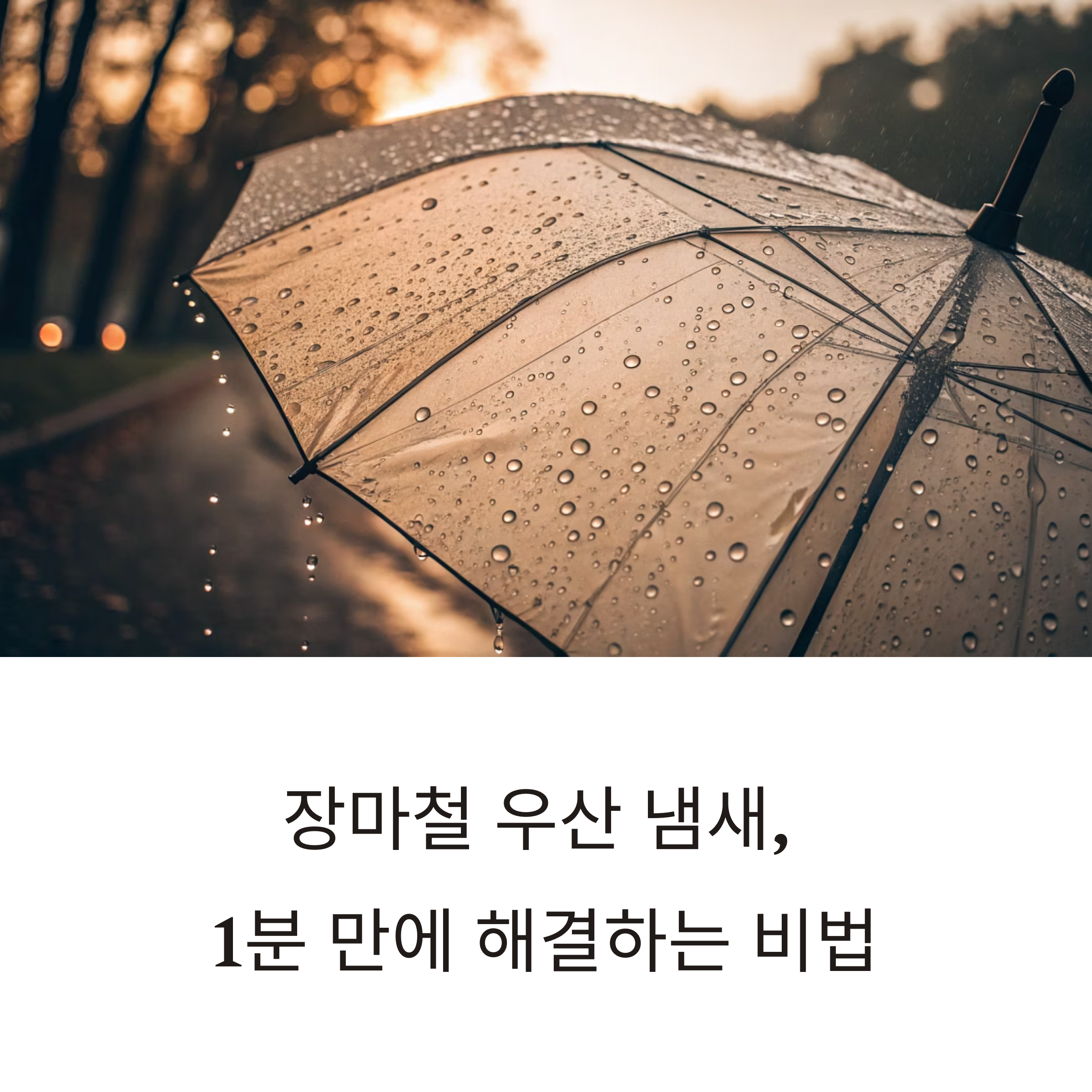 장마철 꼭 알아야 할 우산 냄새 관리법