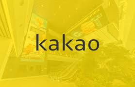 카카오톡 로그인 오류 원인과 복구법 &amp;#124; 비밀번호 분실&middot;2단계 인증 해결