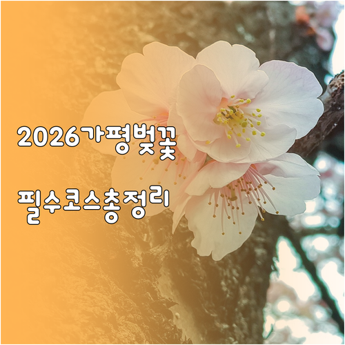 2026년 가평 벚꽃 축제 기간과 명..