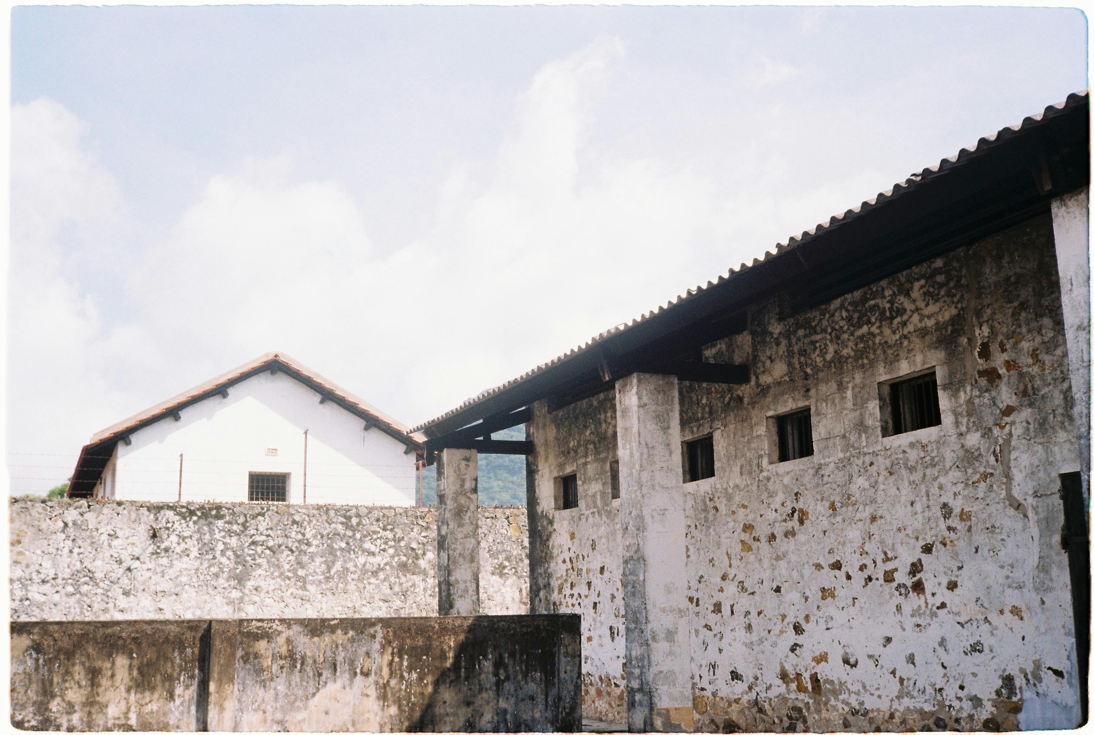 대탈출 더 스토리 시즌5 티빙 오리지널 예능 등장인물 공개시간