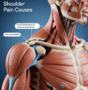 어깨통증 원인