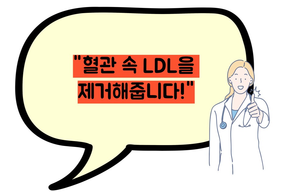 hdl콜레스테롤 정상수치