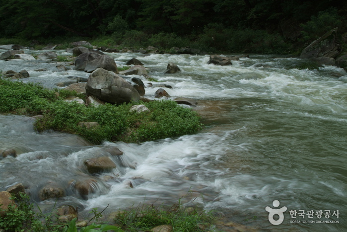 봉화 가볼만한곳 베스트10