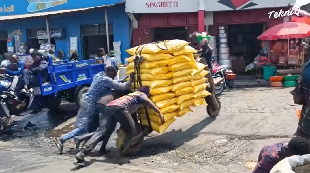 아프리카 나무 스쿠터