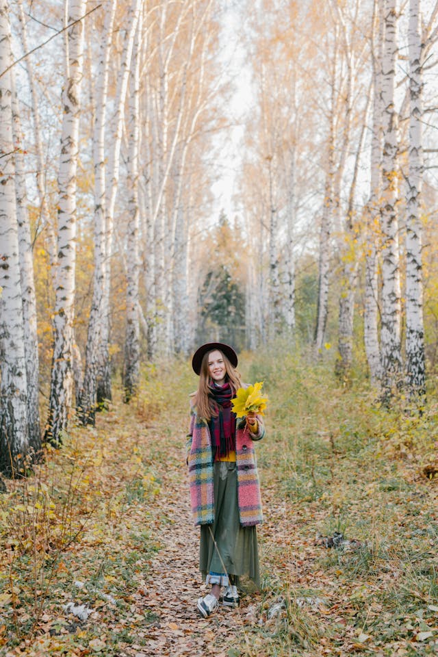 단풍 여행지 날씨 정보|2025 가을 기후 특성 완벽 안내