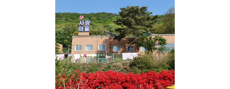 인천 옹진군 요양원