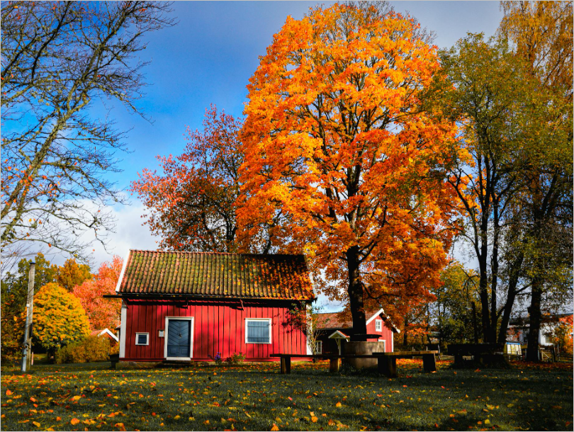 국토교통부 지적도 무료열람- 토지이음 홈페이지 및 앱 바로가기