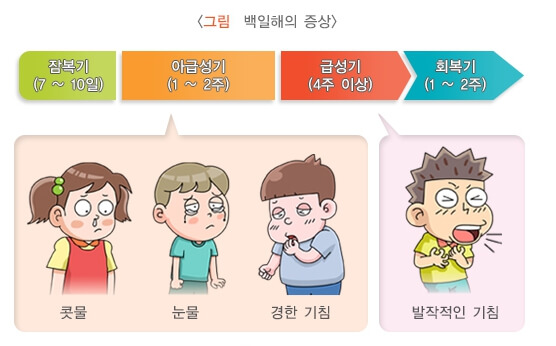 백일해 예방접종 종류, 안정성 (아기와 임산부를 위한 정보)