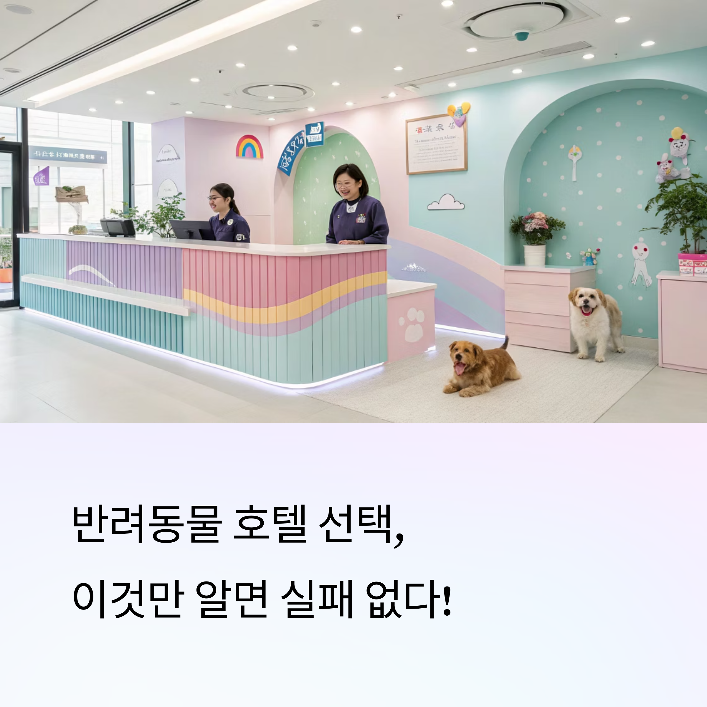 반려동물 호텔 선택, 체크할 기준 총정리