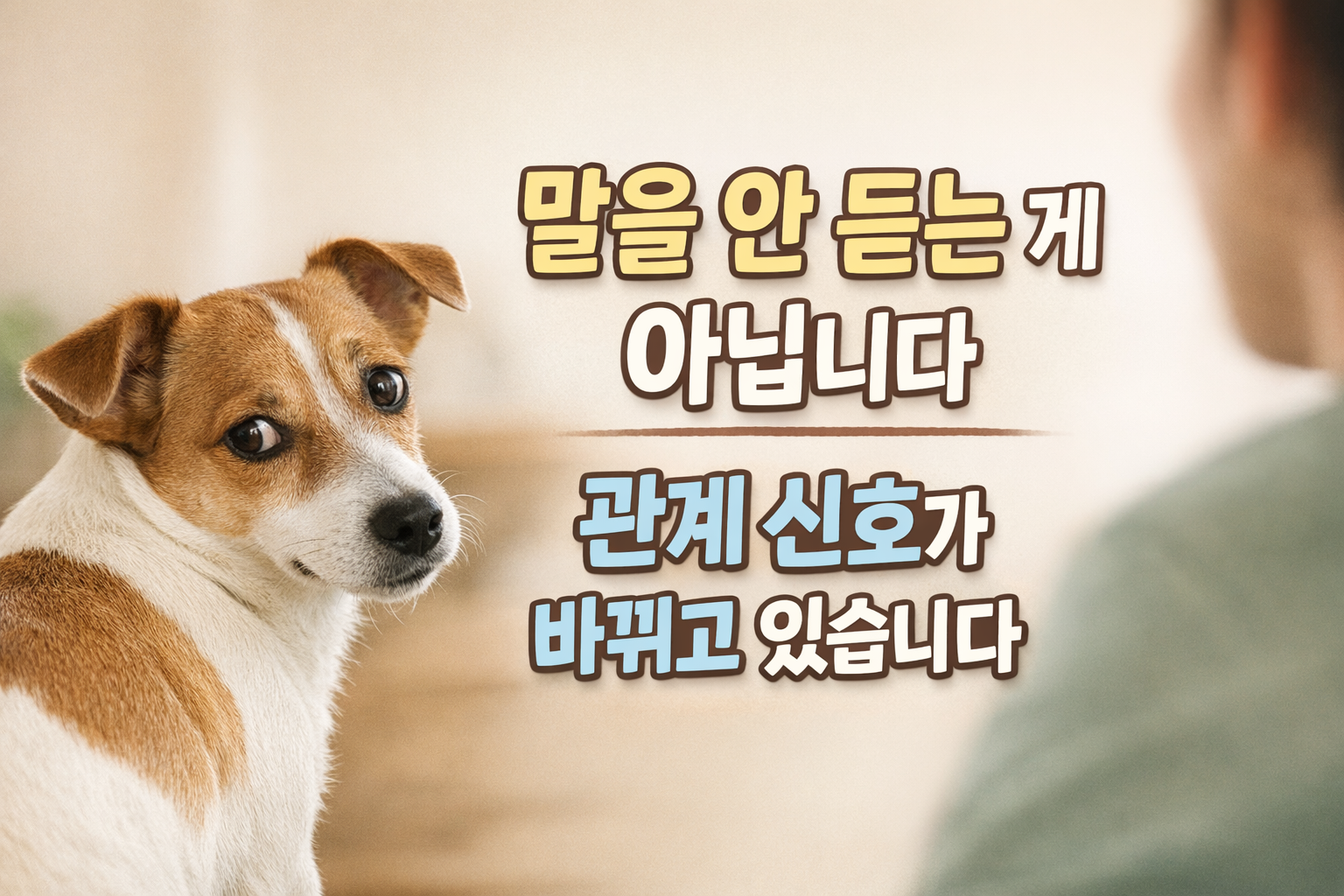 강아지가 보호자 말에 반응하지 않게 되는 과정 / 고집이 아니라, 관계 신호가 바뀌고 있다는 뜻입니다