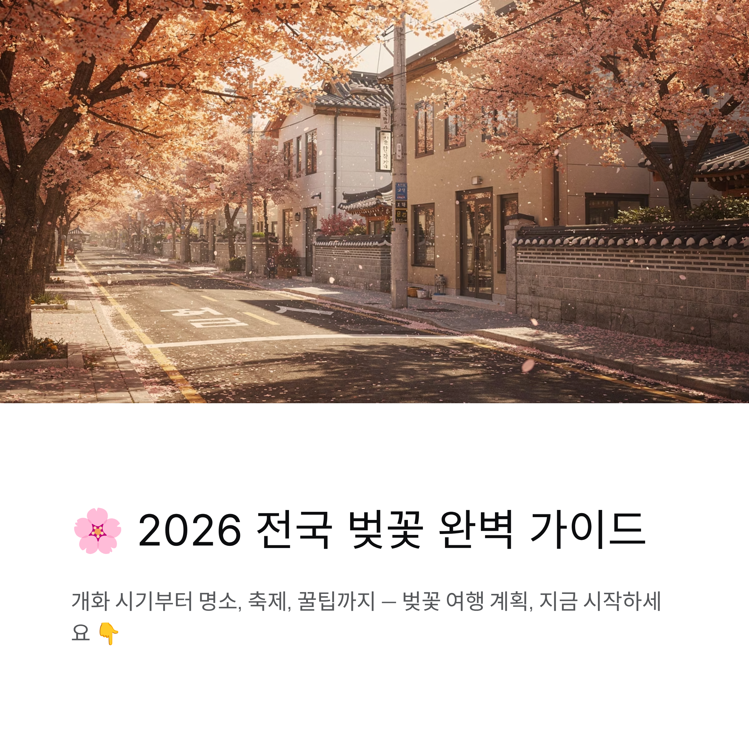 2026 전국 벚꽃 명소 개화시기 벚꽃놀이 지도 축제정보 꿀팁