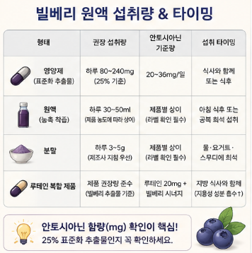 빌베리-원액-효능-분말-영양제-추천-제품