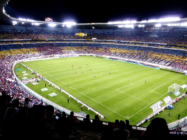 축구경기장 사진