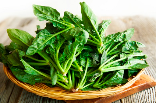 시금치이미지