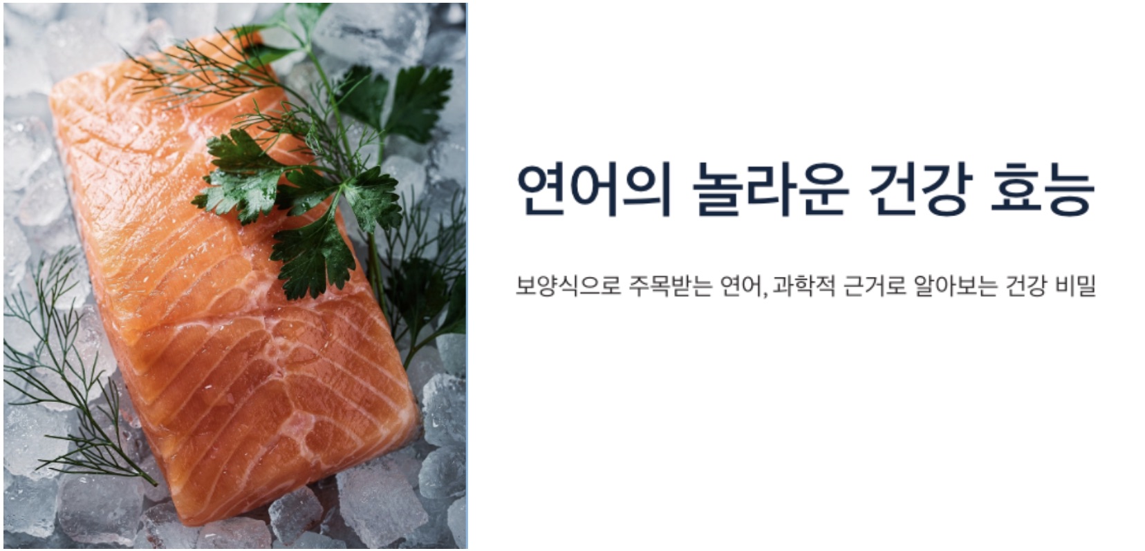 연어 효능 대표이미지
