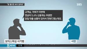 보이스피싱
