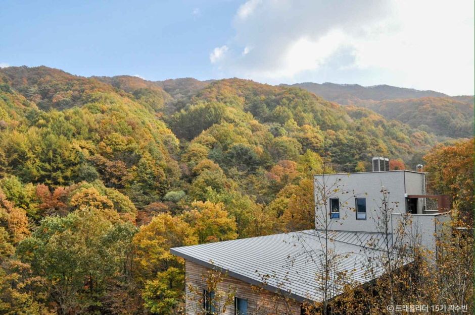 장수 가볼만한곳 베스트10