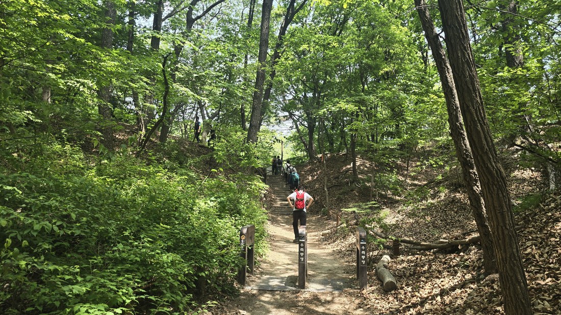도봉산 방향으로 이어지는 데크길. 등산객들이 많이 보였어요