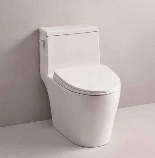 원피스형-양변기