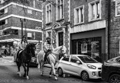 주무관 급수 알아보기