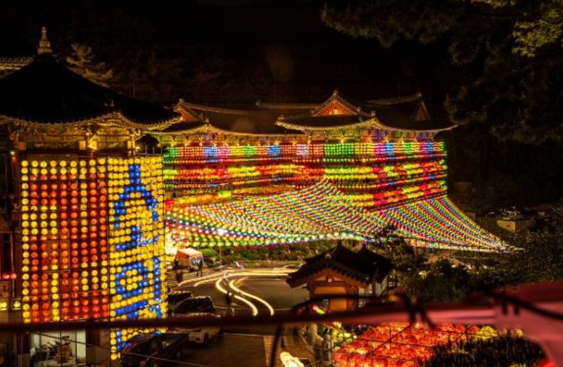 삼광사 연등축제 하이라이트