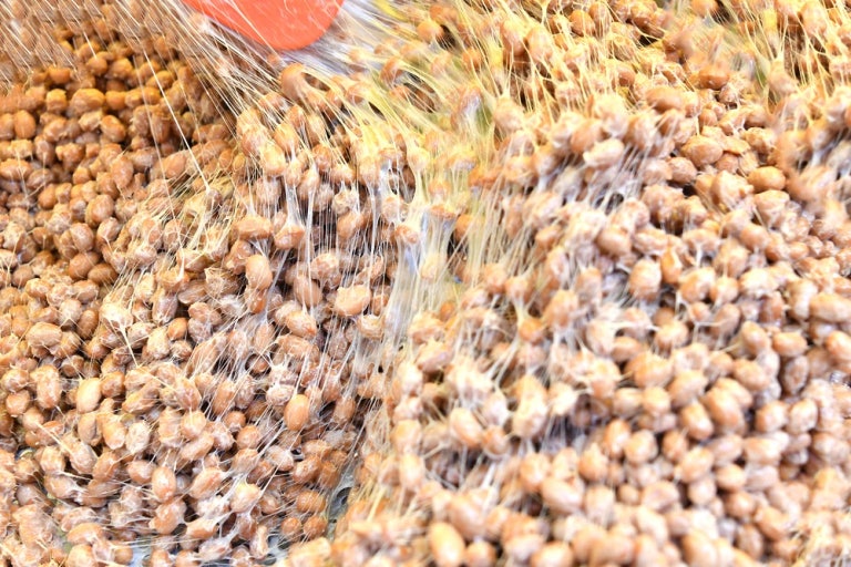 면역력에 도움되는 발효식품 추천 리스트 관련 사진