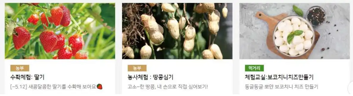 파머스 빌리지체험