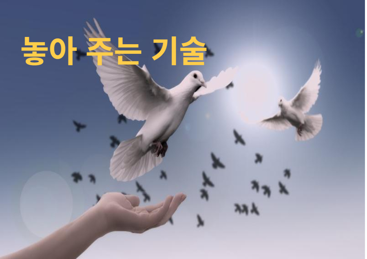 놓아주는 기술