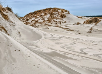 혈뇨가 나오는 이유 14