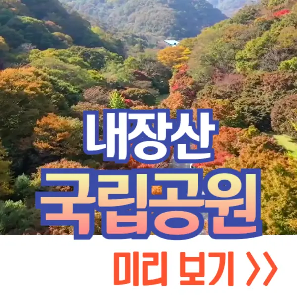 내장산 단풍
