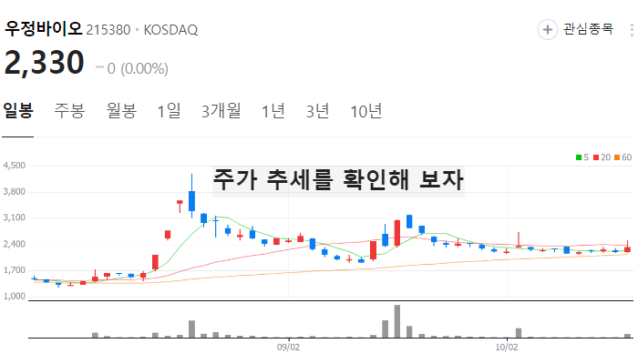 원숭이두창 엠폭스 관련주 대장주 테마주 TOP7
