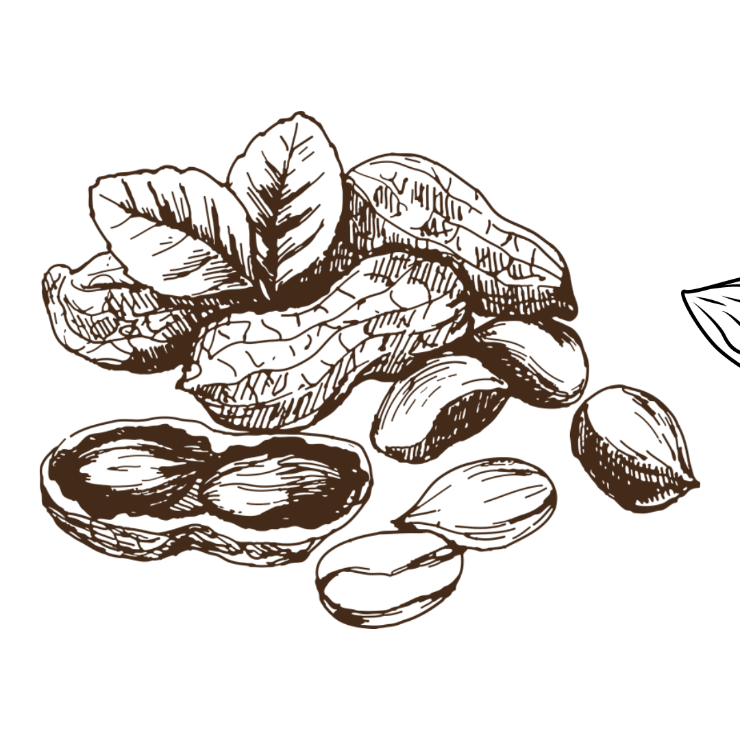 삶은 땅콩 삶는 방법