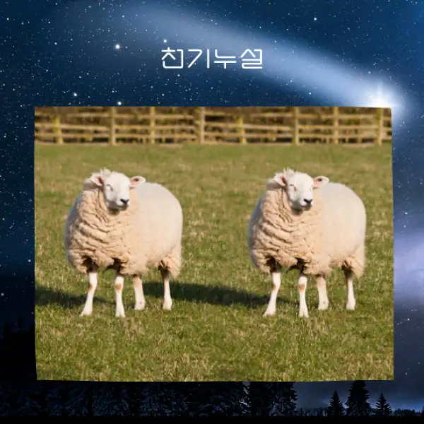 자신의 분신을 보는 꿈 해몽