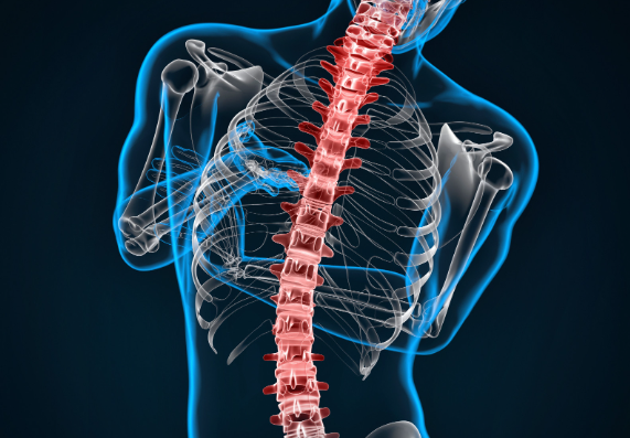 허리 협착증에 좋은 운동