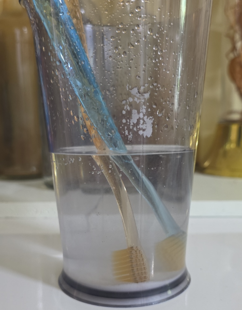 화학 성분 걱정 없이 칫솔모 세균과 치약 찌꺼기를 제거하기 위해 베이킹소다를 푼 물에 담가둔 칫솔들