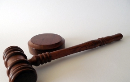 신평 변호사 프로필