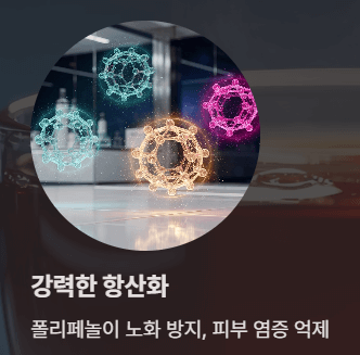 카페인 없는 건강차