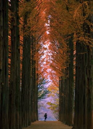 2025 추석연휴 강원도 가볼만한 곳 Best 5