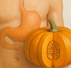 단호박 효능