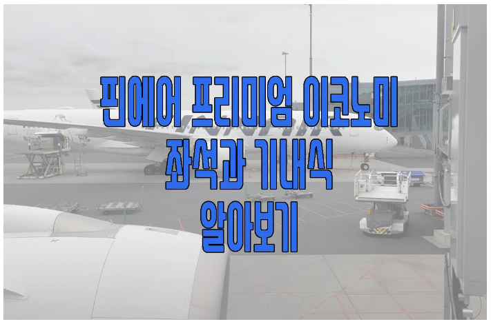 핀에어 프리미엄 이코노미에 관한 글 보러 가기 링크 사진