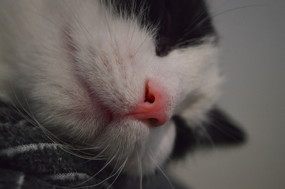 Snoring