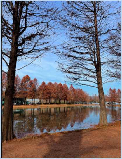 2023-가을-단풍축제-절정시기