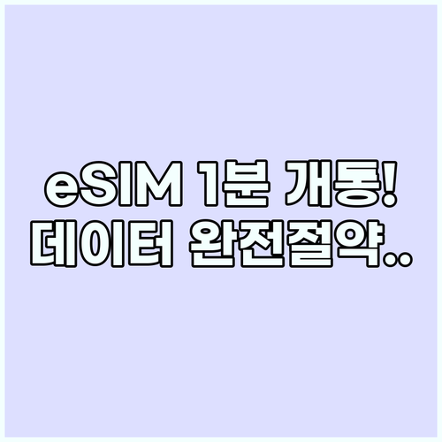 eSIM 해외여행 데이터 개통 방법과..