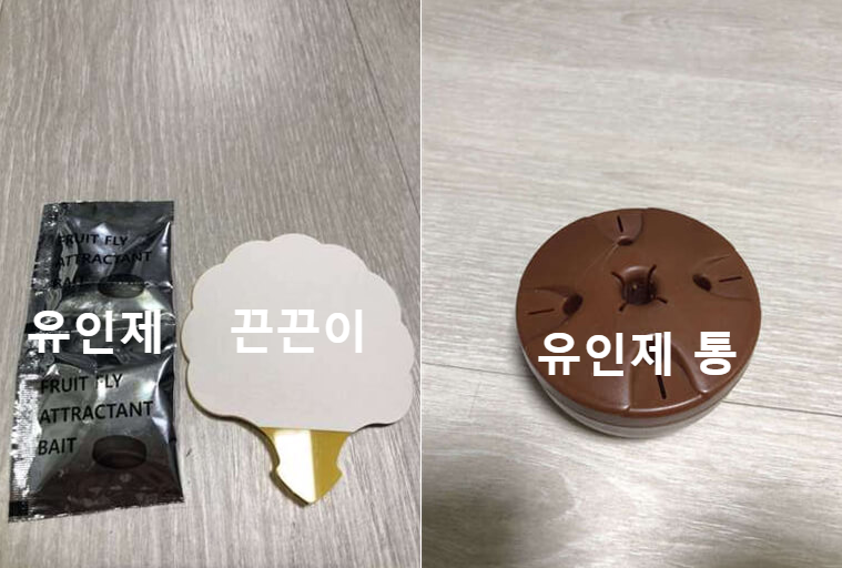 페스트세븐 구성물품