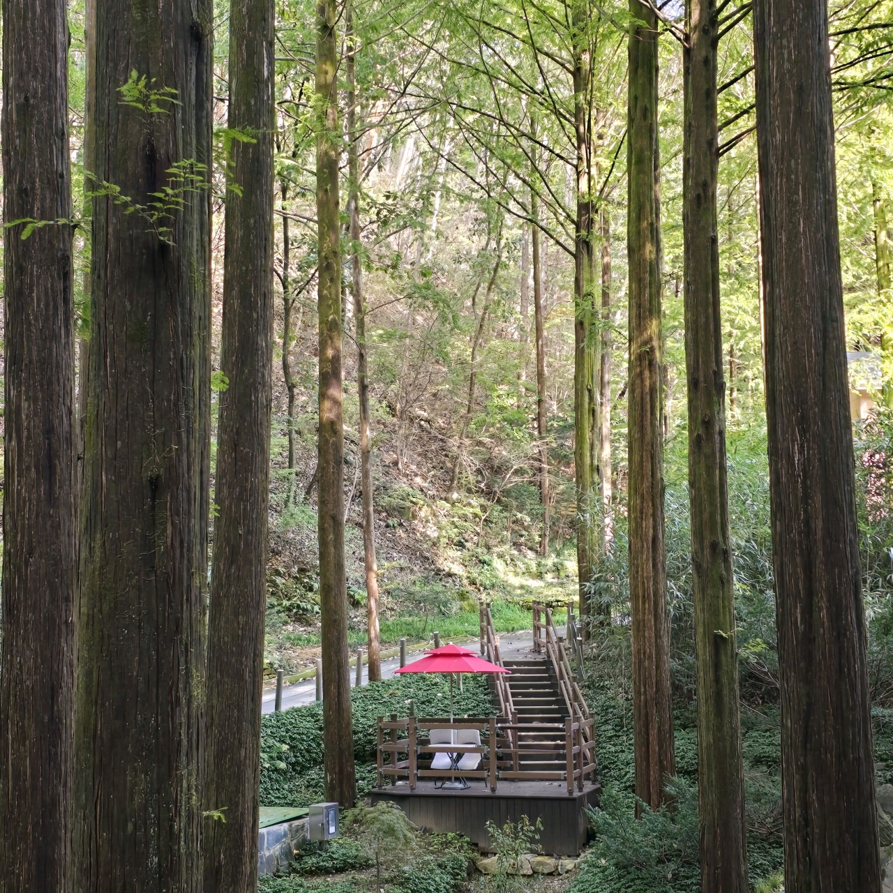 장태산 자연휴양림 예약_79