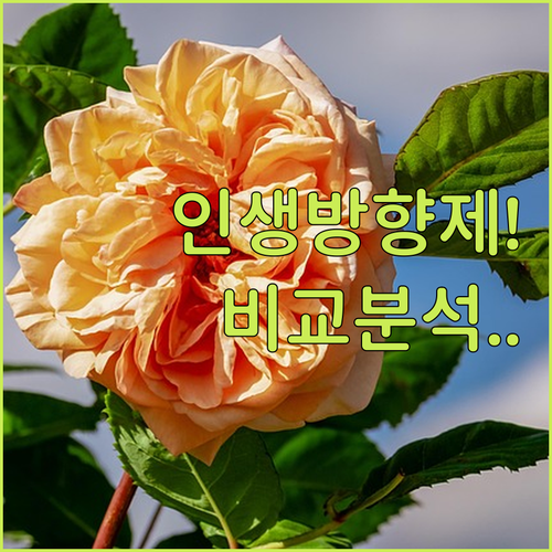 차량용 방향제 추천 베스트 5가지 타..